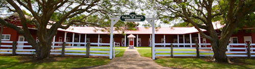 Stables Pano 2