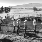 PBR on Parker Ranch Courtesy of PPS