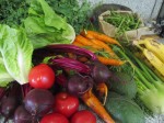 Farmers Market Produce