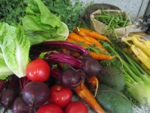 Farmers Market Produce
