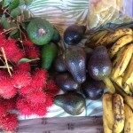 Permalink to Vendors wanted for Wednesday and Saturday Farmers Markets at Pukalani Stables!